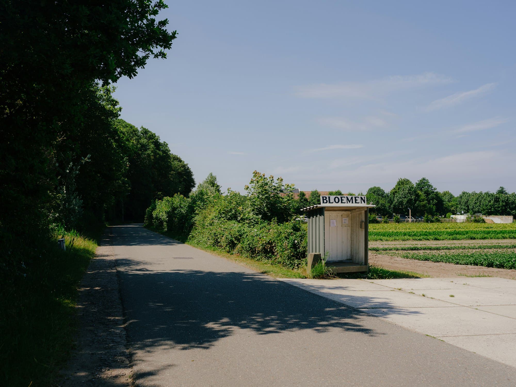An unstaffed roadside stand beside a country road, with fields behind it and nobody around.